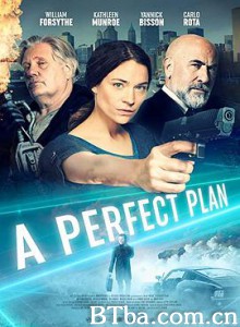 完美计划/A Perfect Plan-720p|1080p高清bt种子下载