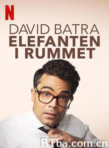 大卫·巴特拉:房间里的大象/David Batra: Elefanten i rummet 大卫·巴特拉:房间里的大象/David Batra: Elefanten i rummet-720p|1080p高清bt种子下载