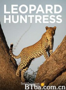 母花豹玛丽卡/Malika Leopard Huntress 母花豹玛丽卡/Malika Leopard Huntress-720p|1080p高清bt种子下载