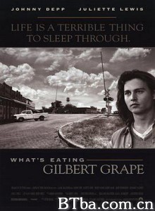 不一样的天空/恋恋情深/什么吞噬着吉尔伯特·格雷普/What's Eating Gilbert Grape-720p|1080p高清bt种子下载