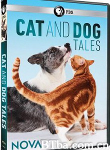 猫的故事/cat tales-720p|1080p高清bt种子下载