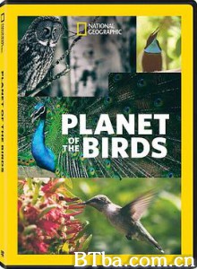 鸟类星球/Planet of The Birds-720p|1080p高清bt种子下载