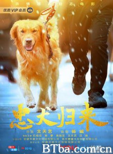 忠犬归来 忠犬归来-720p|1080p高清bt种子下载