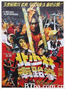 北少林南跆拳/South Shaolin Vs North Shaolin/North Shaolin Vs South Shaolin-720p|1080p高清bt种子下载