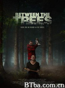 丛林之中/暗夜林魔(台)/Between the Trees-720p|1080p高清bt种子下载