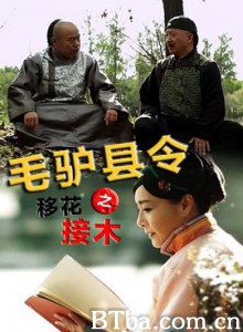 毛驴县令之移花接木 毛驴县令之移花接木-720p|1080p高清bt种子下载