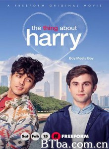 关于哈利的那些事/The Thing About Harry-720p|1080p高清bt种子下载
