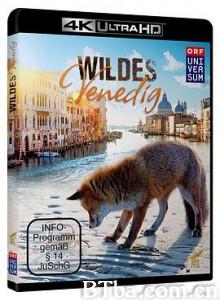 野性威尼斯/Wild Venice-720p|1080p高清bt种子下载