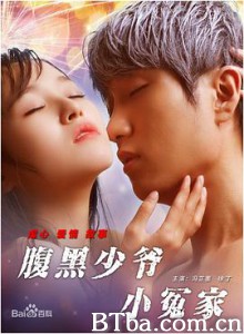 腹黑少爷小冤家-720p|1080p高清bt种子下载