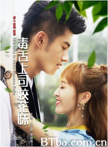 毒舌上司校花妹-720p|1080p高清bt种子下载
