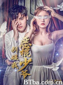 恶棍少爷别碰我-720p|1080p高清bt种子下载