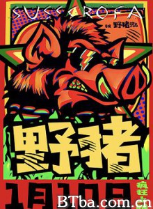 野猪/Wild boar/Sus scrofa 野猪/Wild boar/Sus scrofa-720p|1080p高清bt种子下载