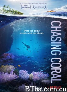 追逐珊瑚/Chasing Coral-720p|1080p高清bt种子下载