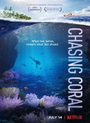 追逐珊瑚/Chasing Coral