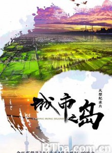 城市之岛-720p|1080p高清bt种子下载
