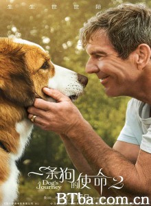 一条狗的使命2/再见亦是狗朋友2(港)/狗狗的旅程(台) 一条狗的使命2/再见亦是狗朋友2(港)/狗狗的旅程(台)-720p|1080p高清bt种子下载