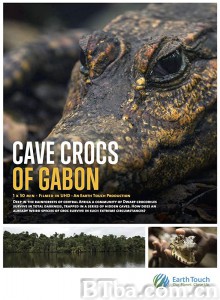 Cave Crocs of Gabon/Gabon barlangi krokodiljai Cave Crocs of Gabon/Gabon barlangi krokodiljai-720p|1080p高清bt种子下载