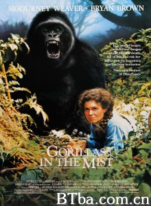 迷雾森林十八年/Gorillas in the Mist: The Story of Dian Fossey-720p|1080p高清bt种子下载