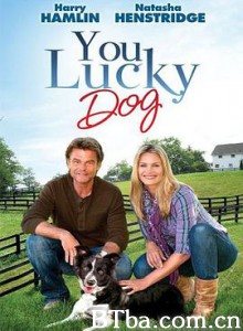 You Lucky Dog-720p|1080p高清bt种子下载