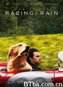 我在雨中等你/The Art of Racing in the Rain 我在雨中等你/The Art of Racing in the Rain-720p|1080p高清bt种子下载