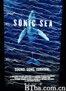 噪音海洋/Sonic Sea-720p|1080p高清bt种子下载
