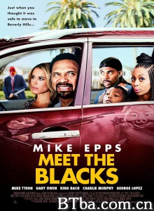 拜见布莱克一家/Meet The Blacks-720p|1080p高清bt种子下载