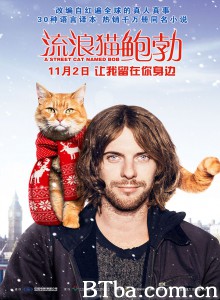 流浪猫鲍勃/街角遇见猫(港)/遇见街猫BOB(台)-720p|1080p高清bt种子下载