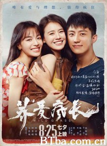 荞麦疯长/Wild Grass-720p|1080p高清bt种子下载