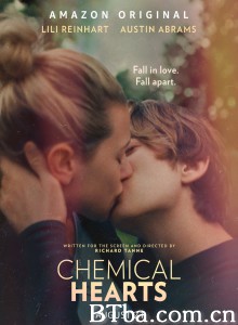 化学心脏/Chemical Hearts-720p|1080p高清bt种子下载