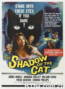 猫影/Shadow of the Cat 猫影/Shadow of the Cat-720p|1080p高清bt种子下载