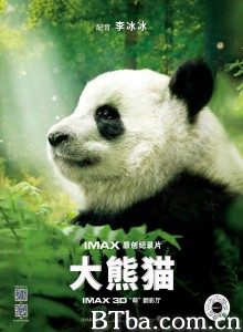 大熊猫/Pandas 大熊猫/Pandas-720p|1080p高清bt种子下载