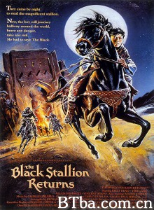 黑神驹2/黑神駒的歸來(台)/The Black Stallion Returns‎-720p|1080p高清bt种子下载