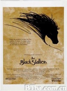 黑神驹/The Black Stallion‎-720p|1080p高清bt种子下载