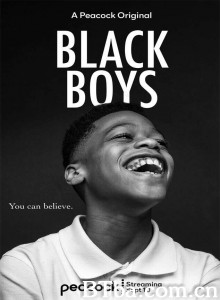 黑人男孩/Black Boys‎-720p|1080p高清bt种子下载
