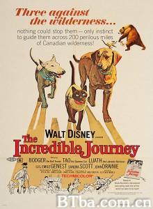 一猫二狗三分亲/The Incredible Journey‎-720p|1080p高清bt种子下载