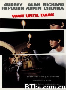 盲女惊魂记/奇谋妙计女福星(港)/Wait Until Dark‎-720p|1080p高清bt种子下载