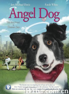 Angel Dog Angel Dog-720p|1080p高清bt种子下载