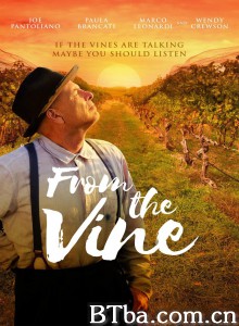 葡萄藤/From the Vine 葡萄藤/From the Vine-720p|1080p高清bt种子下载