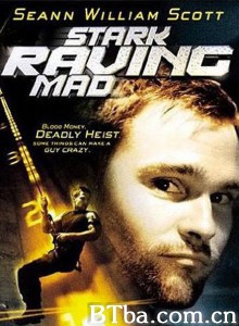 薯唛大贼/Stark Raving Mad‎-720p|1080p高清bt种子下载