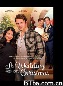 圣诞婚礼/a wedding for Christmas‎-720p|1080p高清bt种子下载
