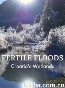 Fertile Floods: Croatia's Wetlands‎-720p|1080p高清bt种子下载