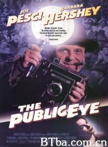 公众之眼/The Public Eye 公众之眼/The Public Eye-720p|1080p高清bt种子下载
