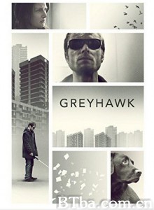 灰鹰/Greyhawk‎-720p|1080p高清bt种子下载