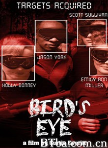 鸟之眼/Bird's Eye‎-720p|1080p高清bt种子下载
