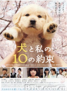 狗狗与我的十个约定/犬と私の10の約束‎-720p|1080p高清bt种子下载