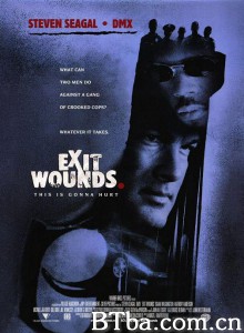 以毒攻毒/Exit Wounds‎-720p|1080p高清bt种子下载