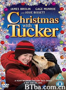 与塔克的圣诞节/Christmas with Tucker 与塔克的圣诞节/Christmas with Tucker-720p|1080p高清bt种子下载