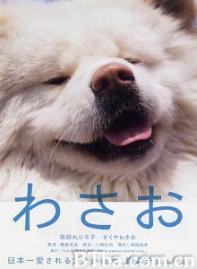 秋田犬蓬夫/松毛犬小威(港)/わさお 秋田犬蓬夫/松毛犬小威(港)/わさお-720p|1080p高清bt种子下载