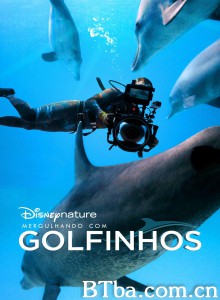 《海豚礁》幕后特辑/Diving with Dolphins 《海豚礁》幕后特辑/Diving with Dolphins-720p|1080p高清bt种子下载