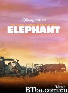 《大象》幕后特辑/In the Footsteps of Elephant 《大象》幕后特辑/In the Footsteps of Elephant-720p|1080p高清bt种子下载